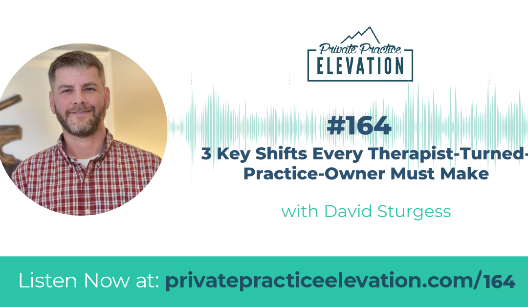 164. 3 Key Shifts Every Therapist-Turned-Practice-Owner Must Make with David Sturgess