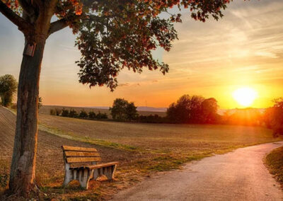 Website Case Study: Upstate Restorative Counseling